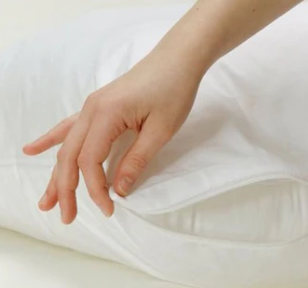 Pillow Protector
