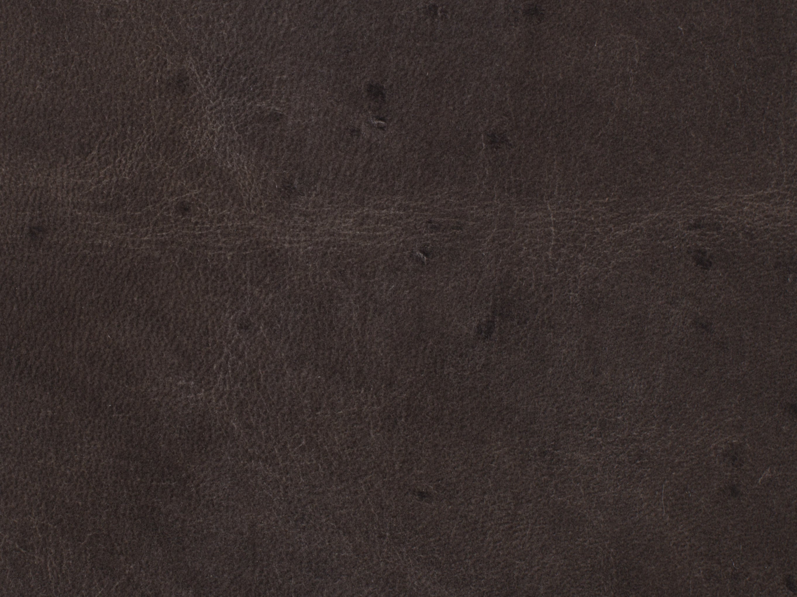 Wyatt Executive Swivel Tilt Chair